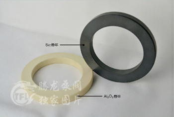 氟塑料磁力泵扣环