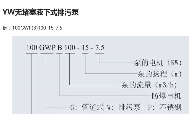 排污泵 排污泵