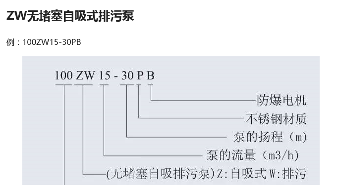 排污泵 排污泵