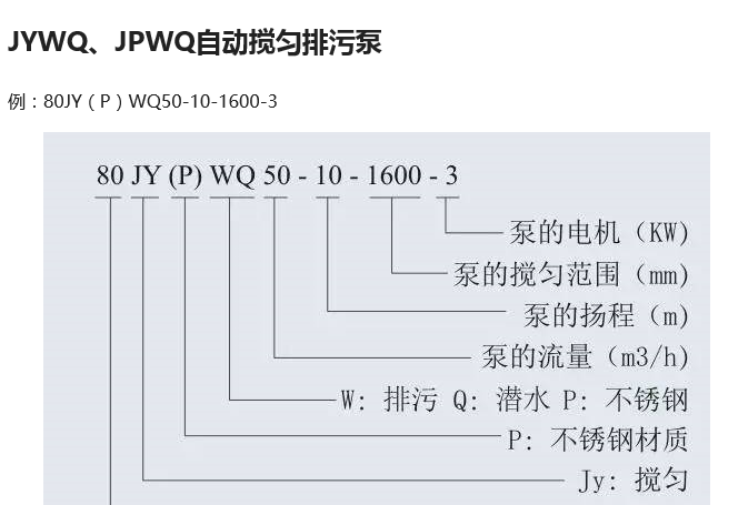 排污泵 排污泵
