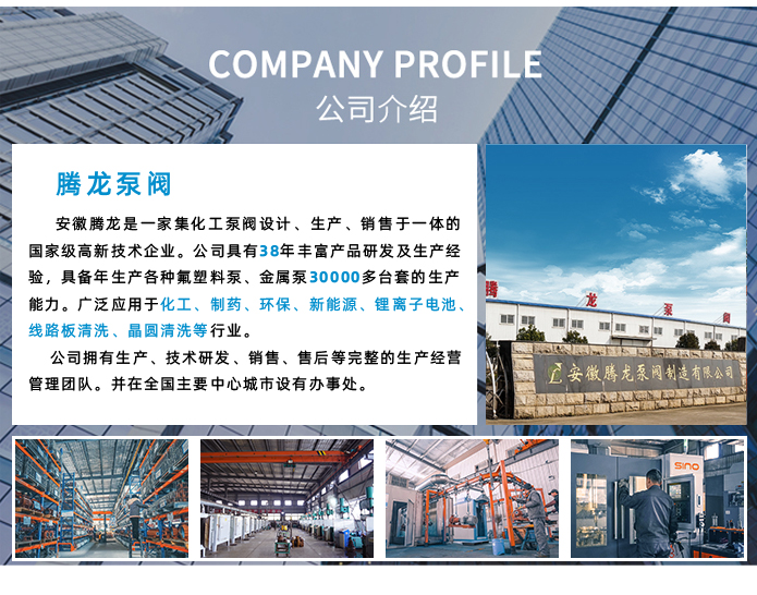 公司实力