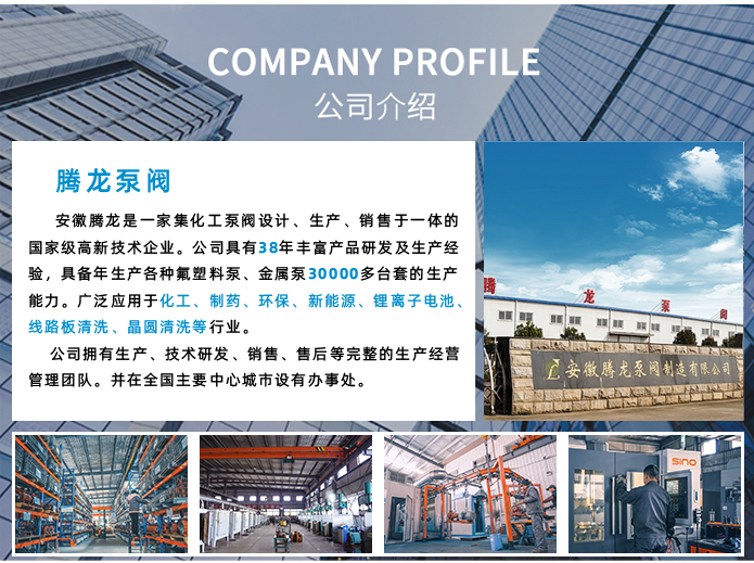 公司实力