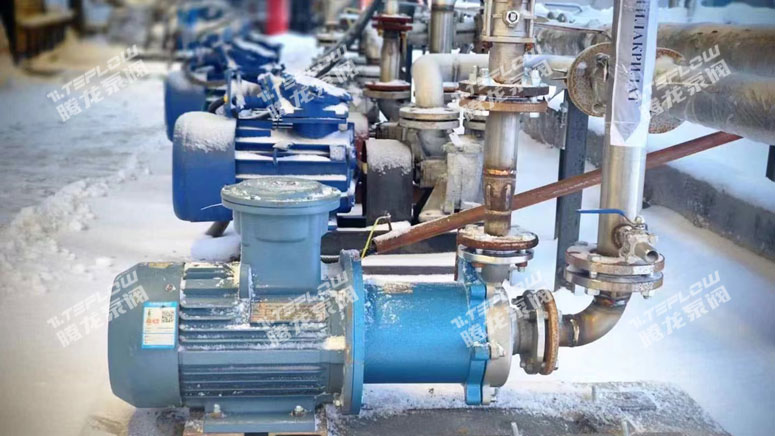 腾龙泵阀不锈钢磁力泵在俄罗斯某新能源企业成功应用