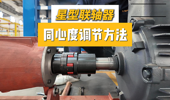 离心泵星型<i style='color:red'>联轴器</i>同心度调节方法