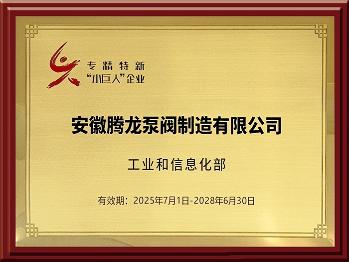 专精特新小巨人企业